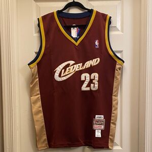 Mitchell & Ness Hardwood Classics LeBron James Jersey
